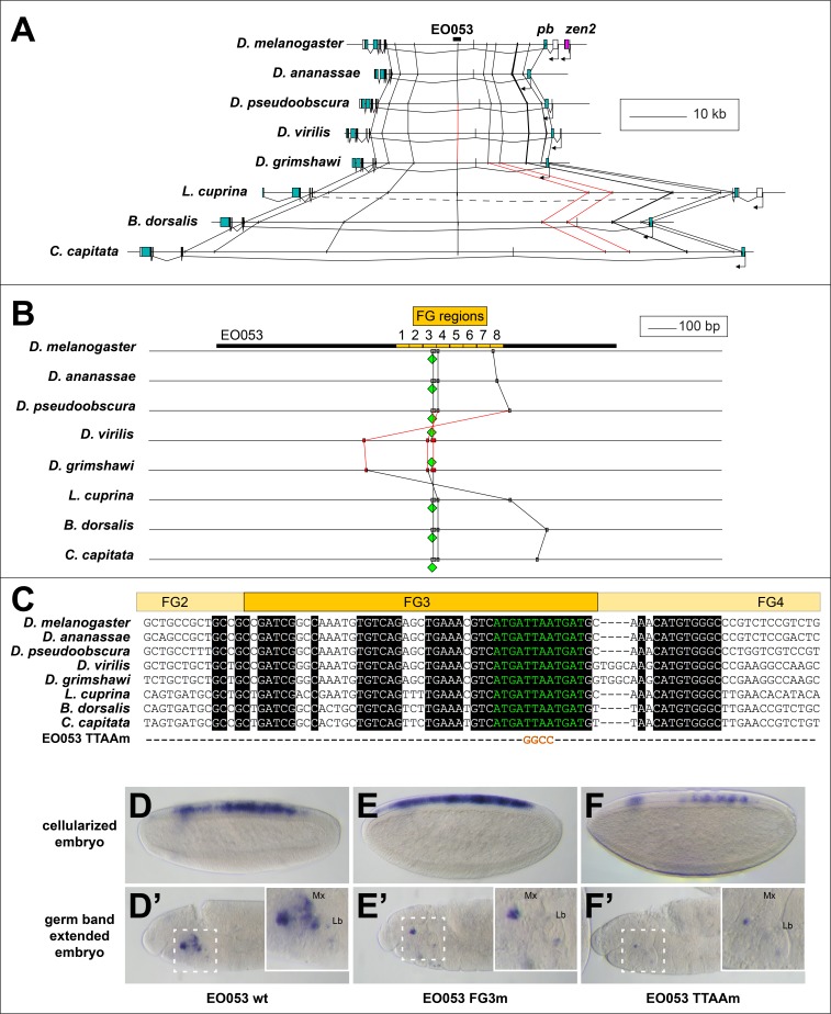 Figure 6.