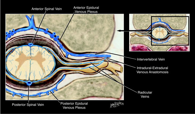 Fig 4.