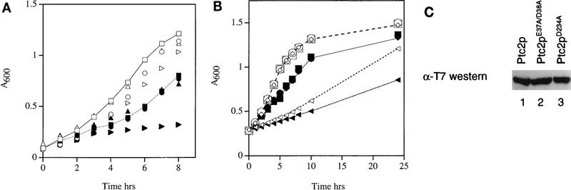 FIG. 6