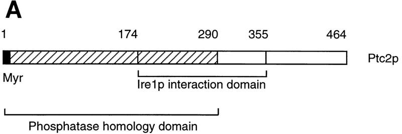 FIG. 9