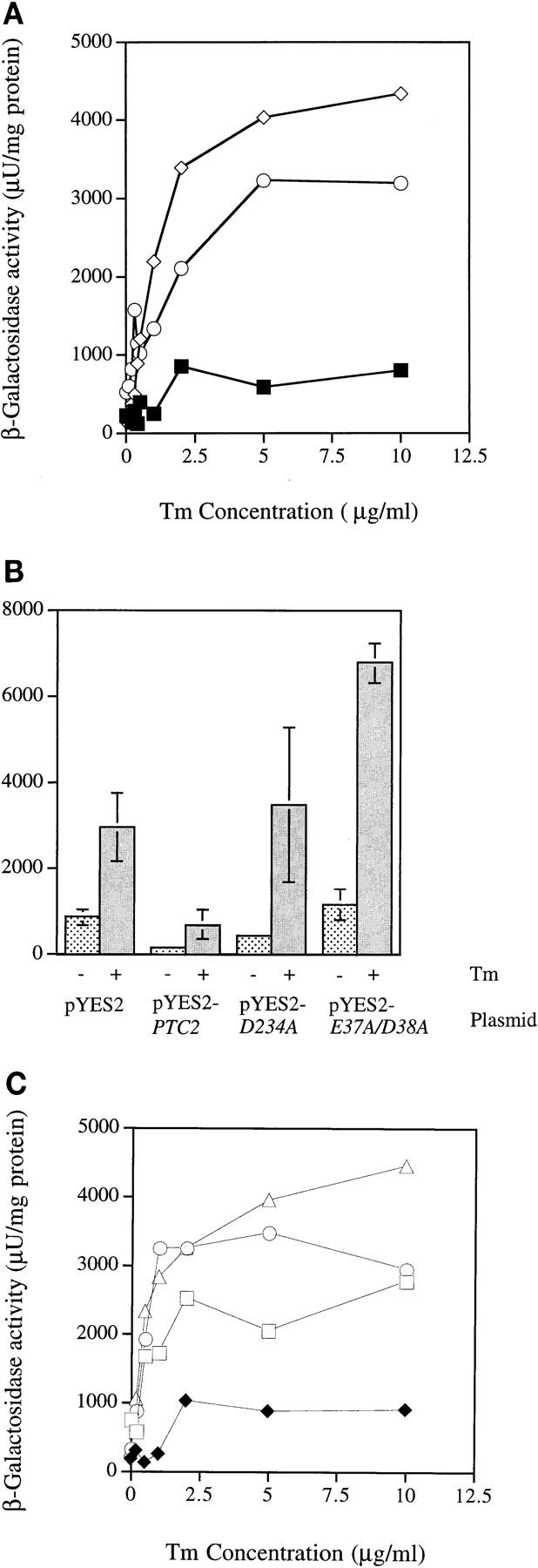 FIG. 7