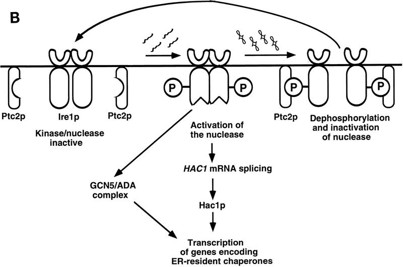 FIG. 9