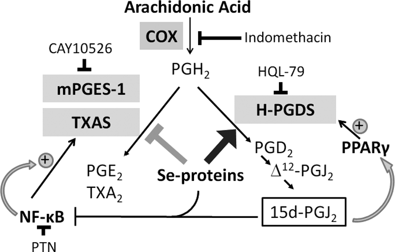 FIGURE 9.