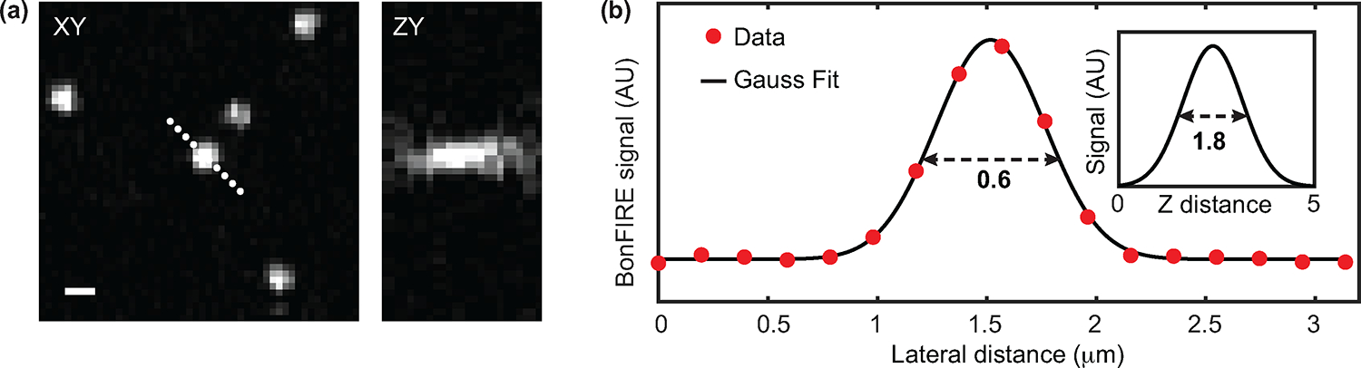 Extended Data Fig. 5