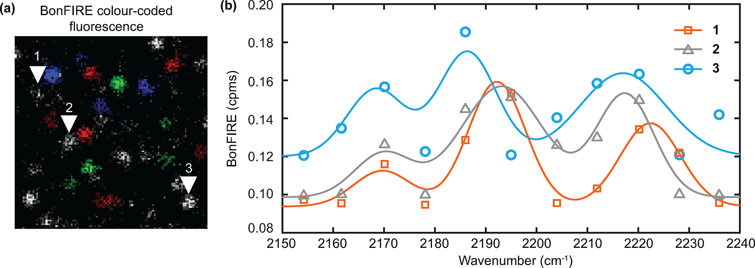 Extended Data Fig. 6