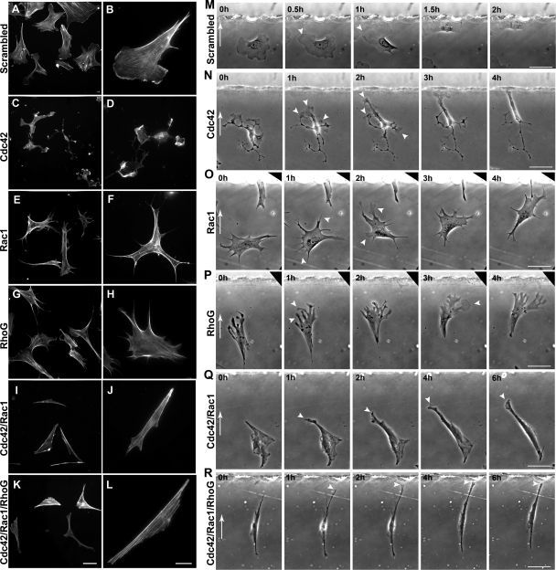 FIG. 6.