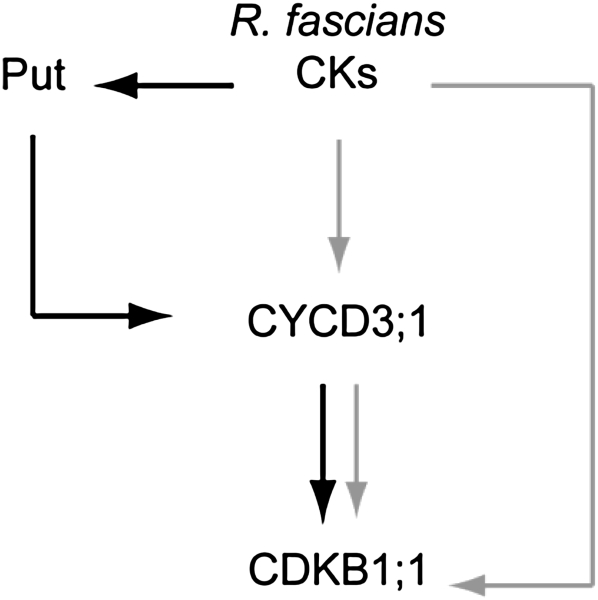 Figure 9.