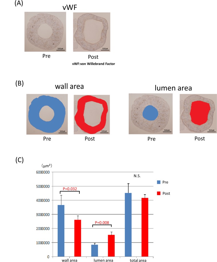 Fig 8