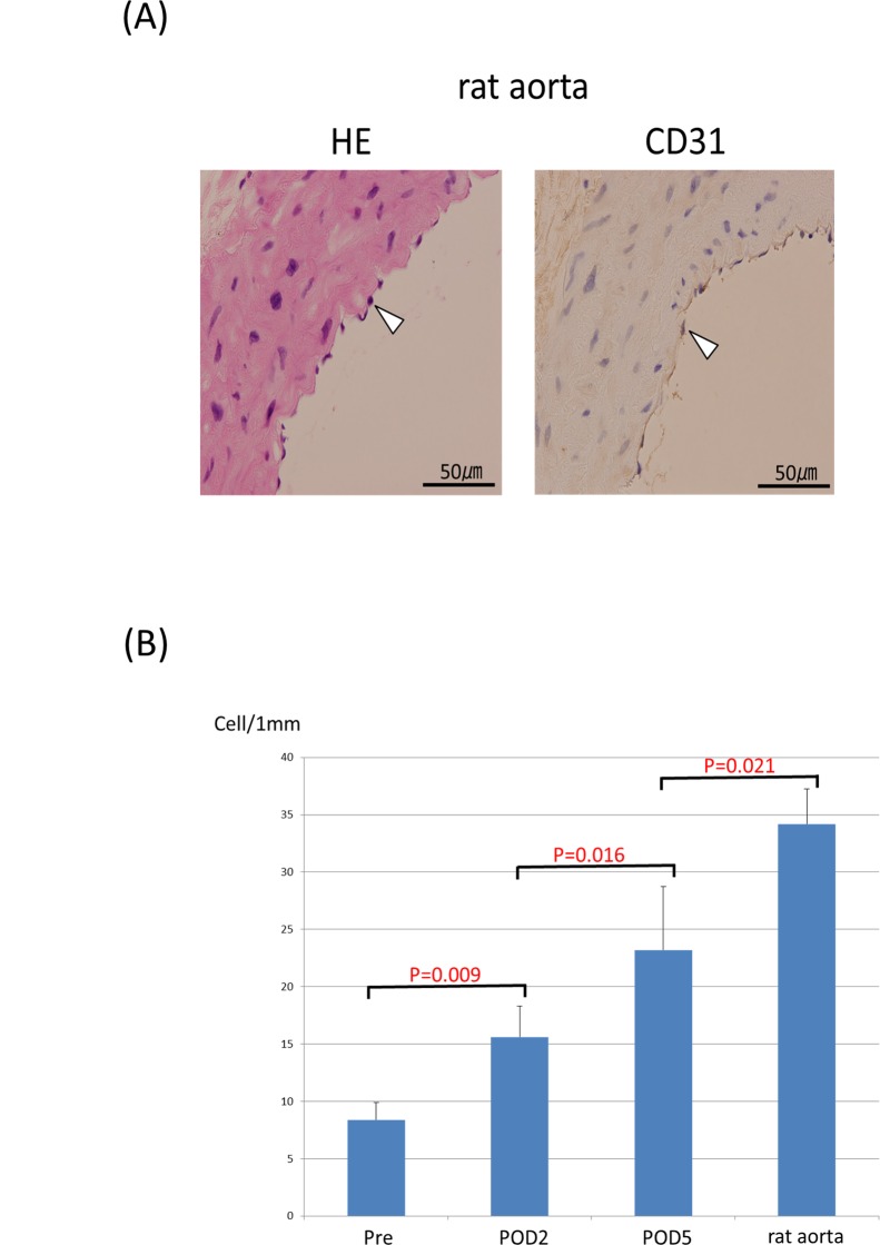 Fig 7