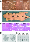 FIG. 5.