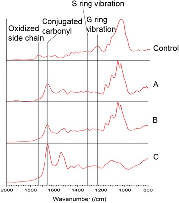 Fig. 6