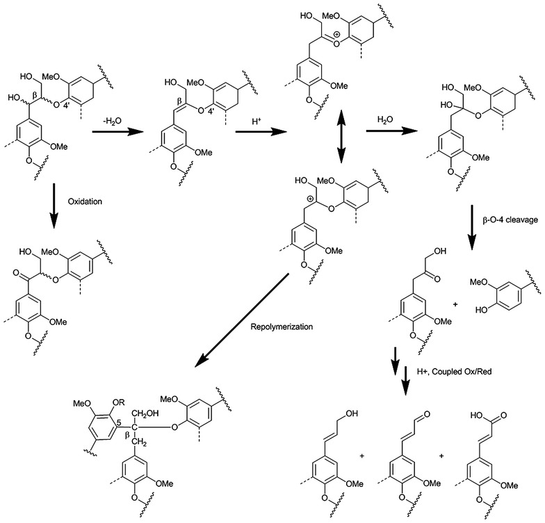 Fig. 8