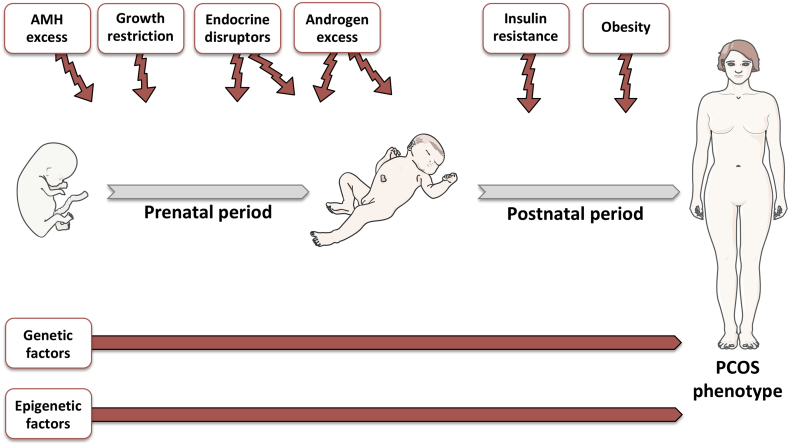 Figure 1