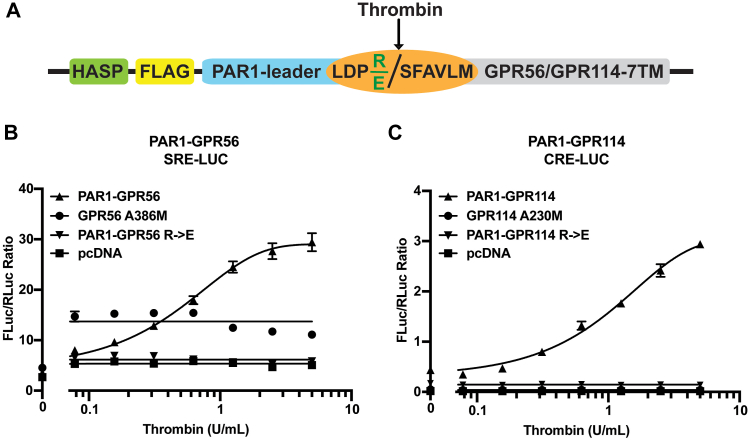 Figure 4