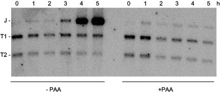 FIG. 5.