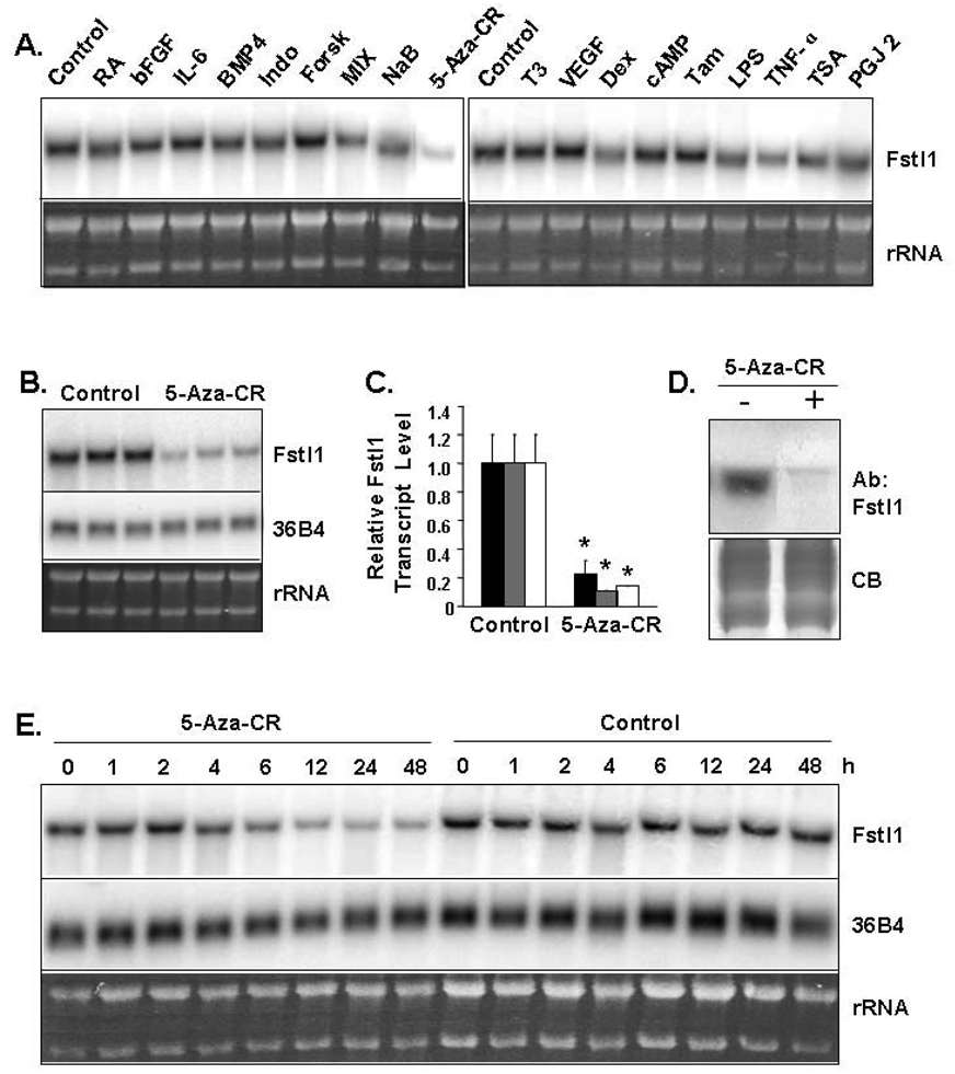 Figure 7