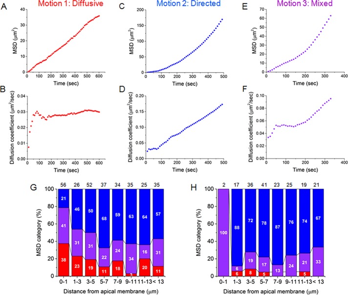 FIGURE 3: