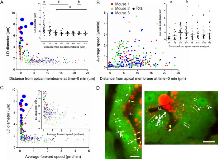 FIGURE 2: