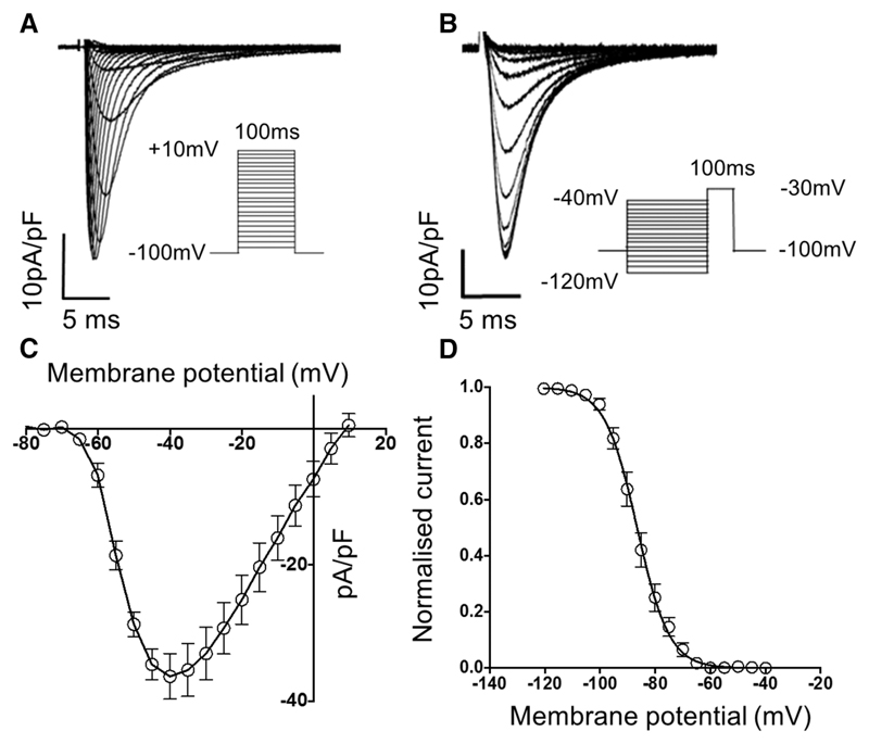 Figure 5