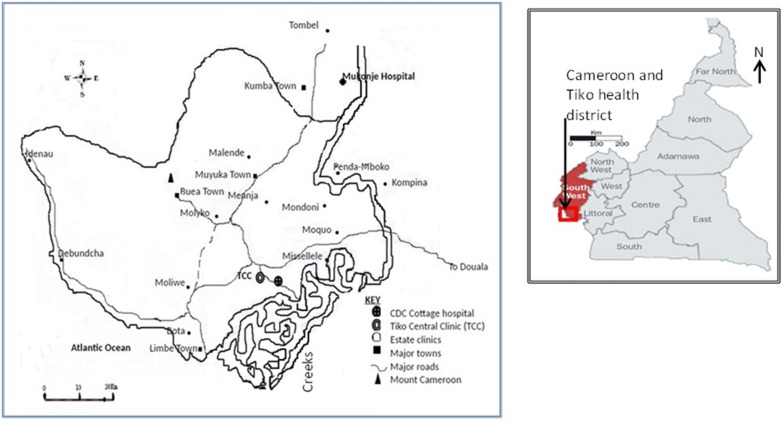 Fig. 1