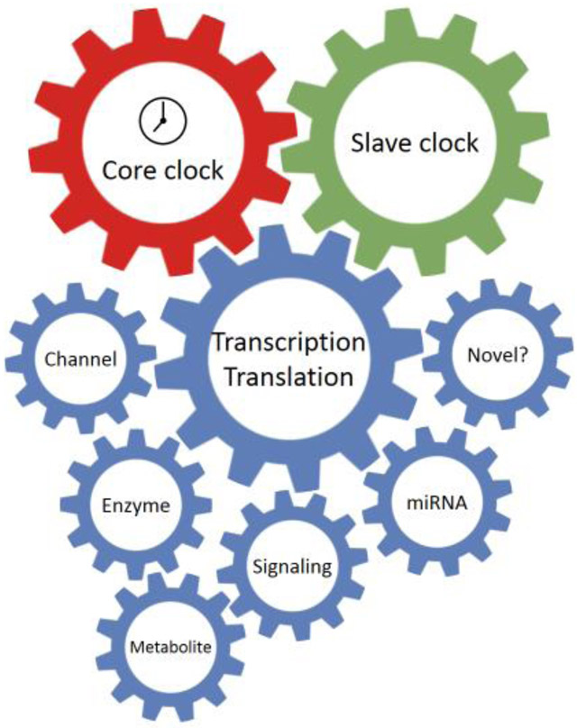 Figure 1.