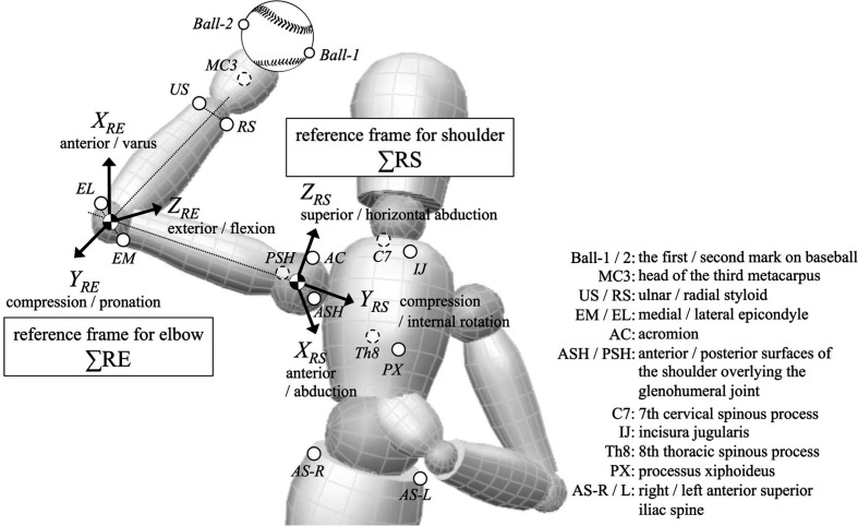 Fig. 1.