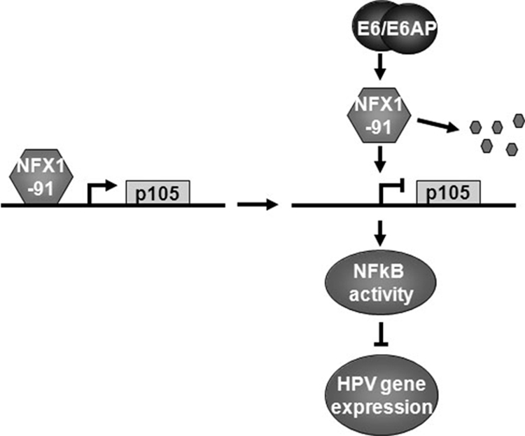 FIG. 6.