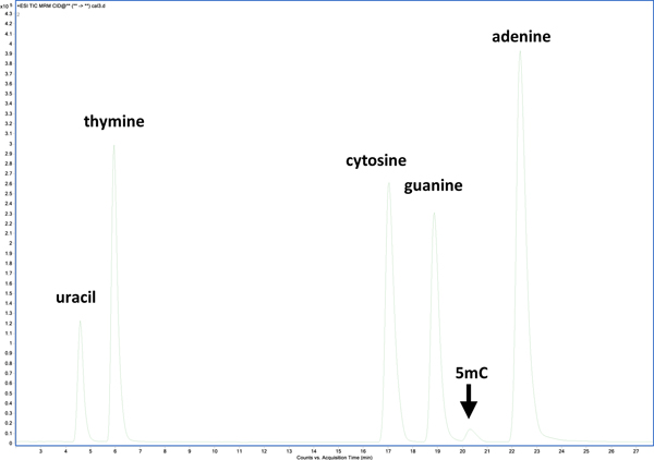 Figure 1: