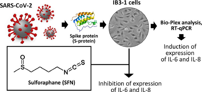 Image, graphical abstract