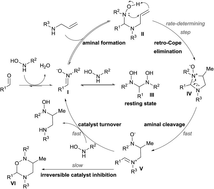 Scheme 8