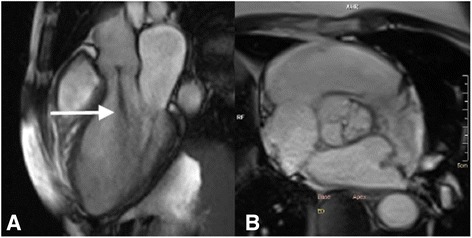 Fig. 8