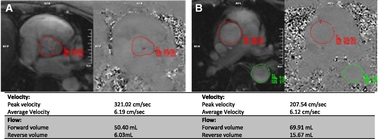 Fig. 9