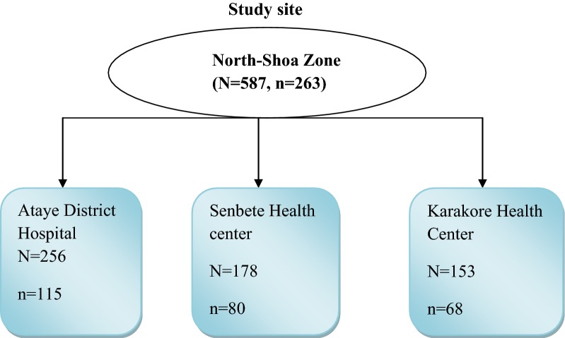 Fig. 1