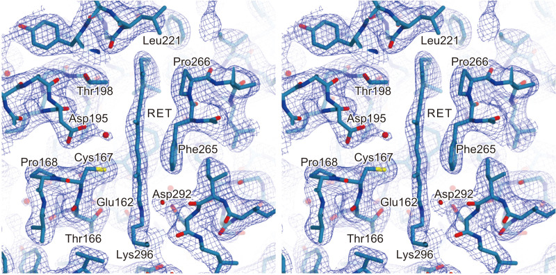 Figure 3—figure supplement 1.