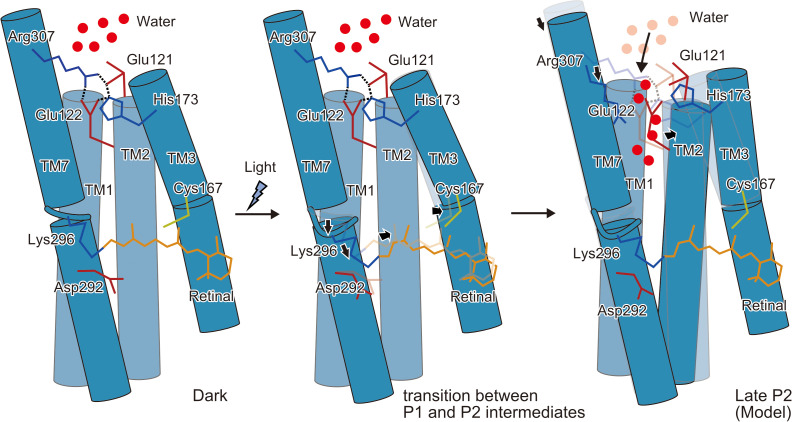 Figure 6.