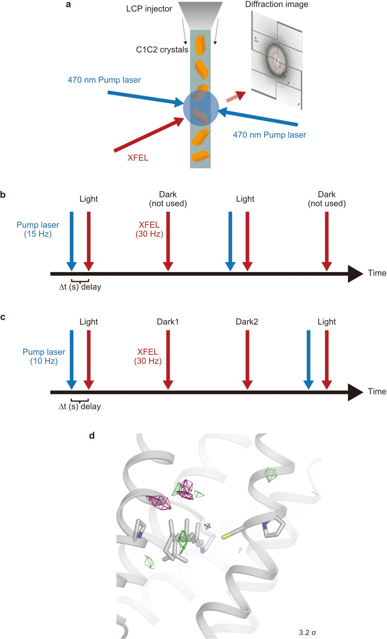 Figure 3—figure supplement 3.