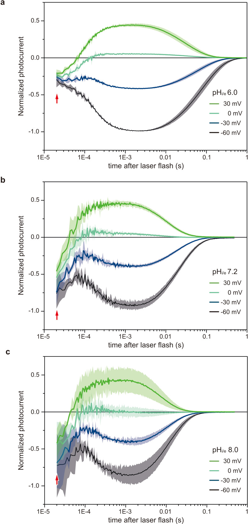 Figure 2—figure supplement 2.