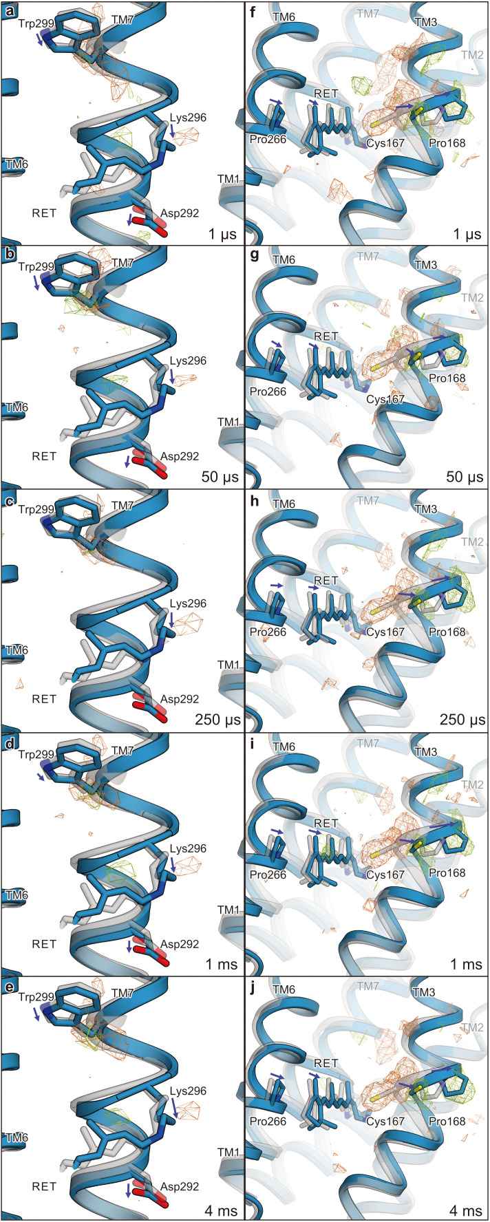 Figure 4—figure supplement 4.