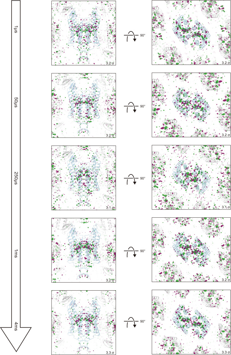 Figure 4—figure supplement 1.