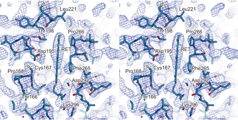 Figure 4—figure supplement 3.