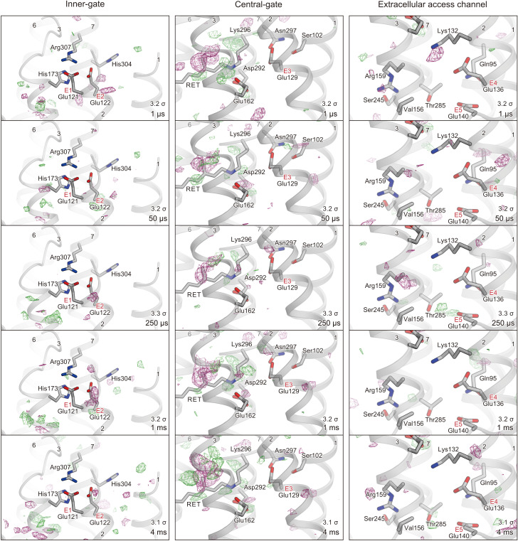 Figure 4—figure supplement 5.