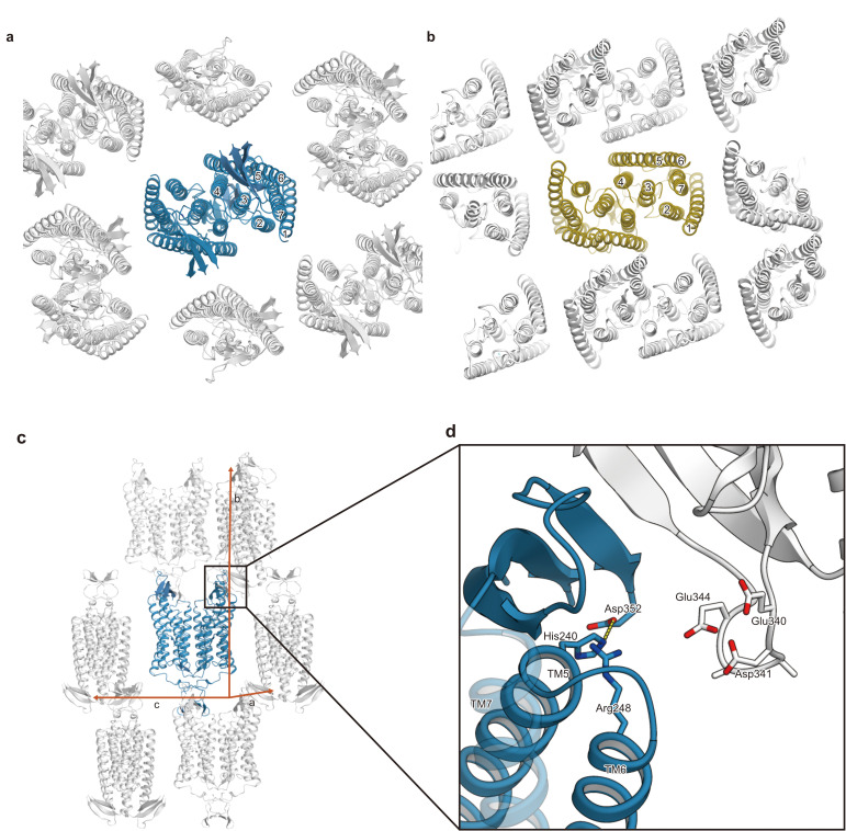 Figure 3—figure supplement 2.