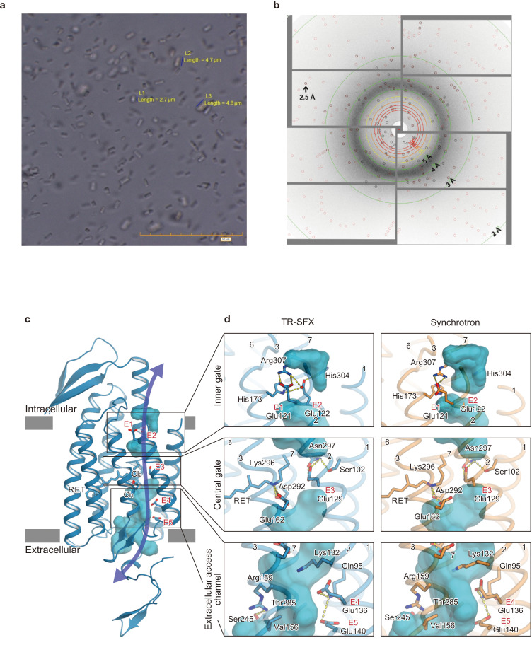 Figure 3.