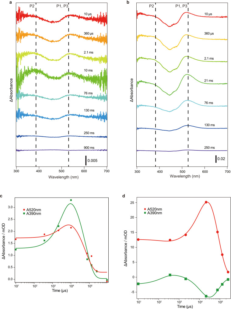 Figure 2—figure supplement 3.