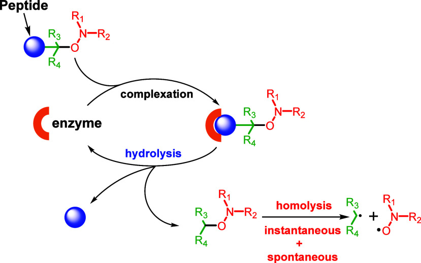 Scheme 1