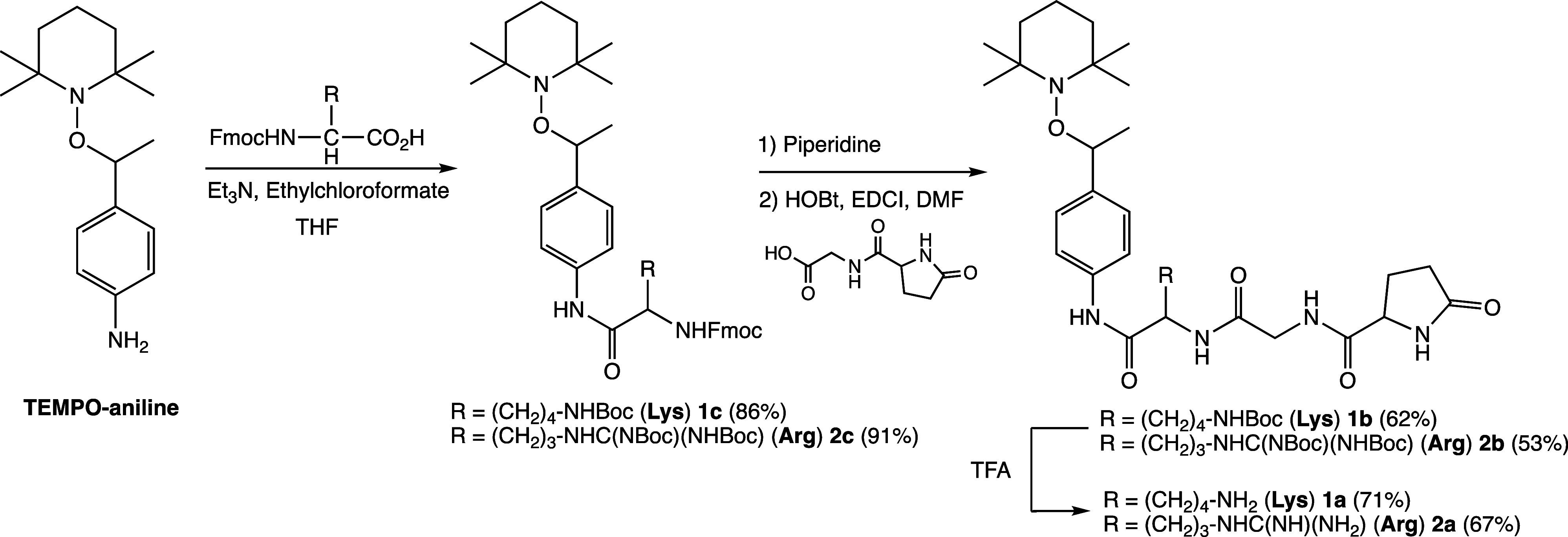 Scheme 3