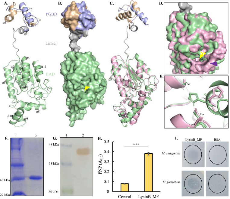 Figure 3: