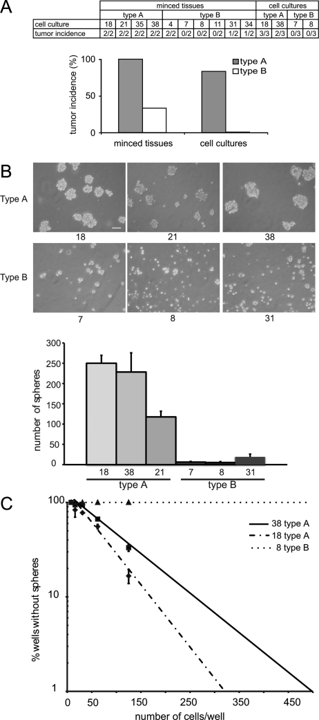 Fig. 3.