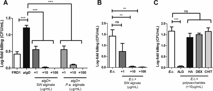 FIG 2 