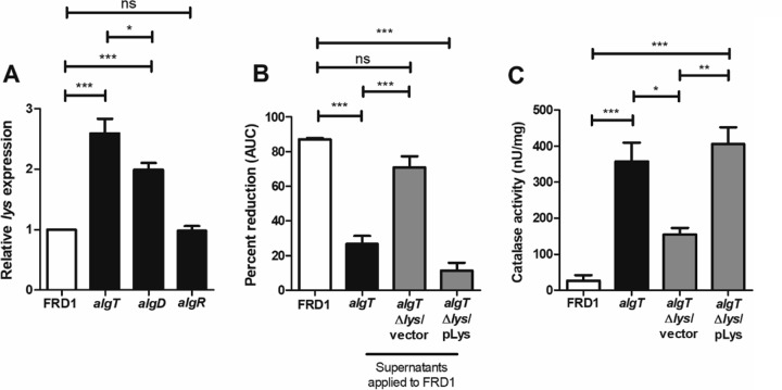 FIG 6 